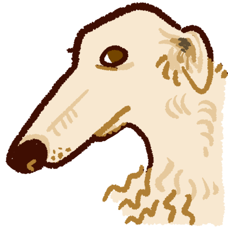 the head and shoulders of a borzoi viewed from the side.